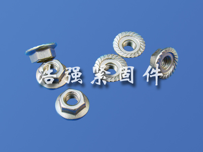 【法蘭面螺母】_法蘭面螺母價(jià)格_法蘭面螺母廠家-到中華標(biāo)準(zhǔn)件網(wǎng)